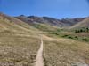 Trail