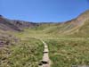 Trail through Grassy Field