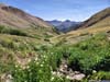 Flowers along Small Creek against Mountainous Backdrop