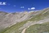 Trail
