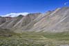 Grassy Basin