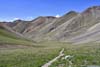 Trail through Grassy Basin