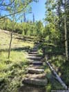 Trail
