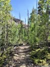 Trail