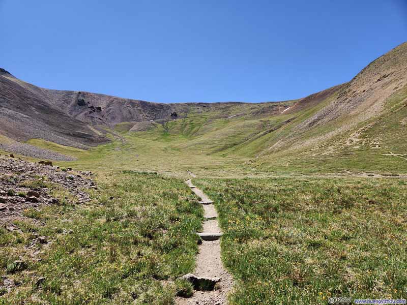 Trail through Grassy Field