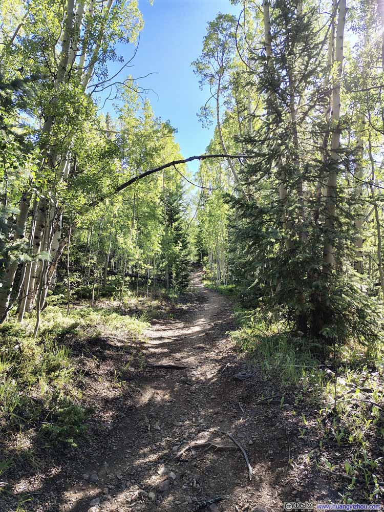 Trail