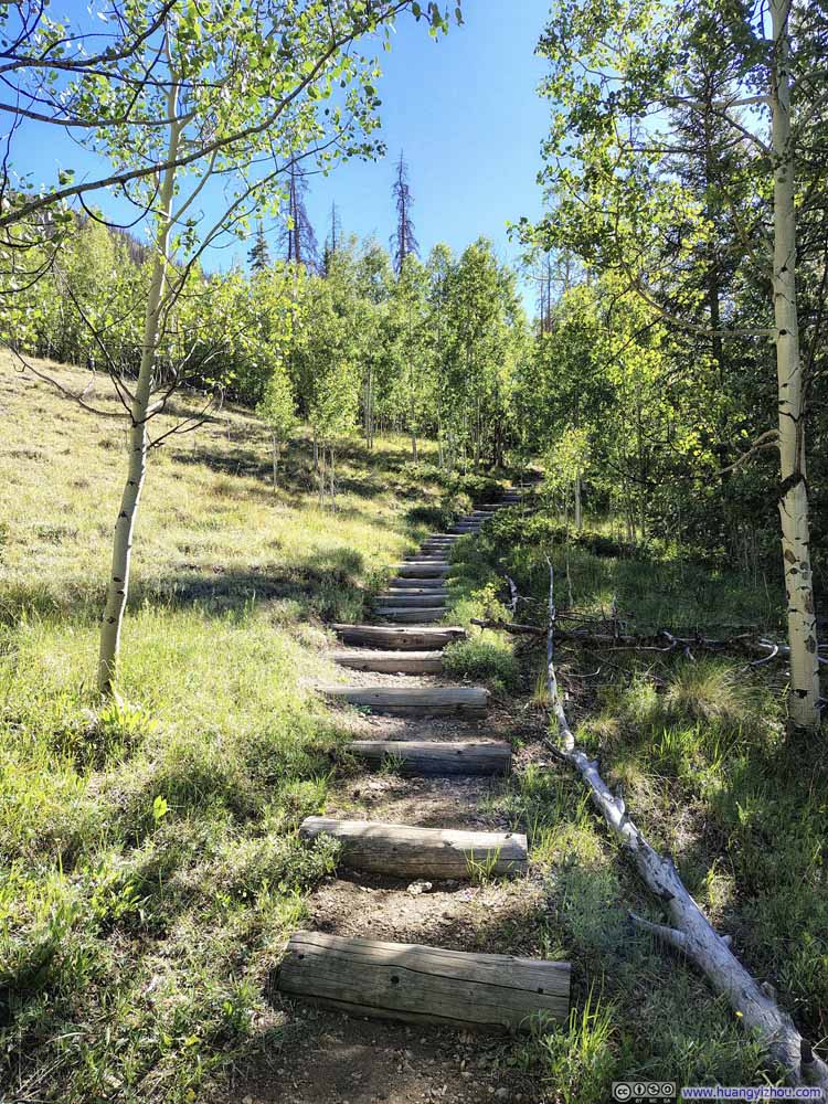 Trail