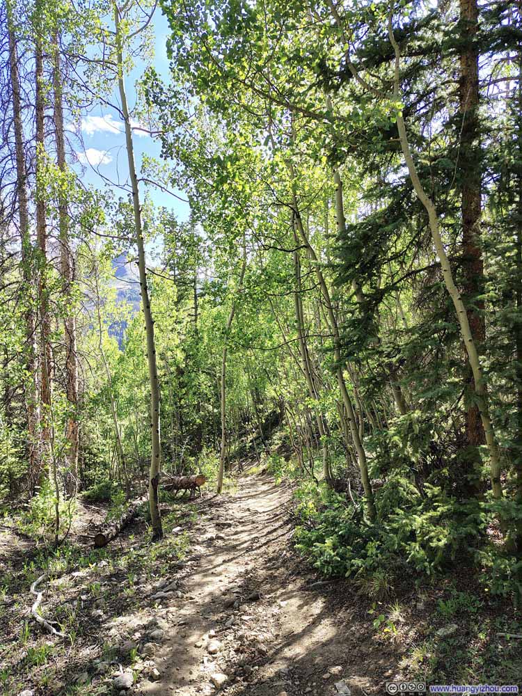 Trail