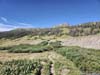 Trail