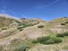 Grassy Hillside