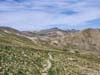 Trail