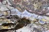 Mineral Vein