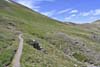 Trail
