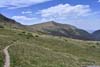 Trail