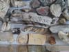 Exhibit of Minerals