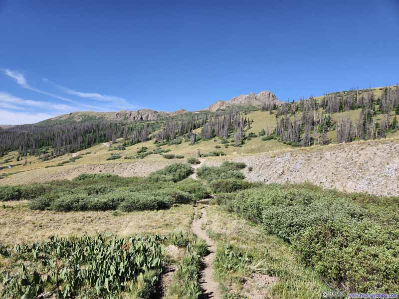 Trail
