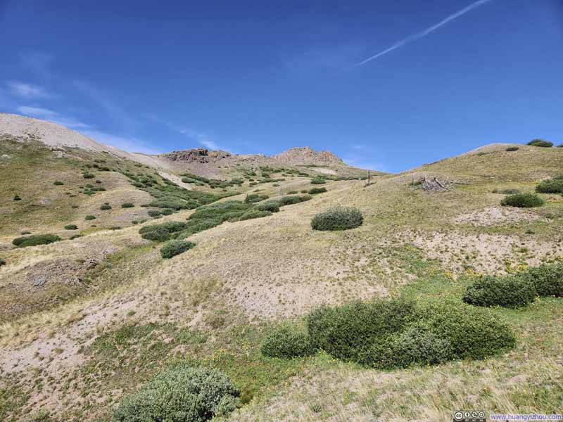 Grassy Hillside
