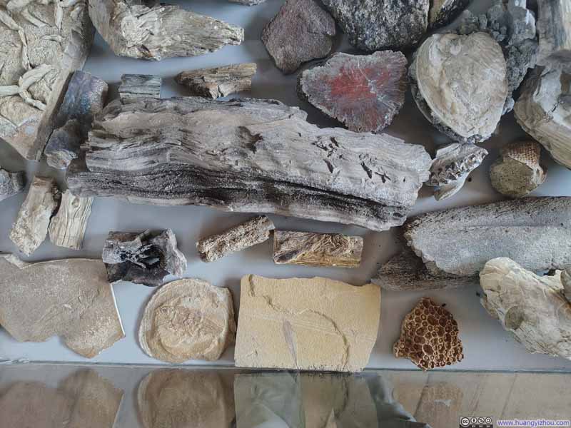 Exhibit of Minerals