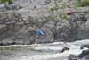 Kayakers Portaging around Great Falls