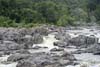 Kayakers in Great Falls